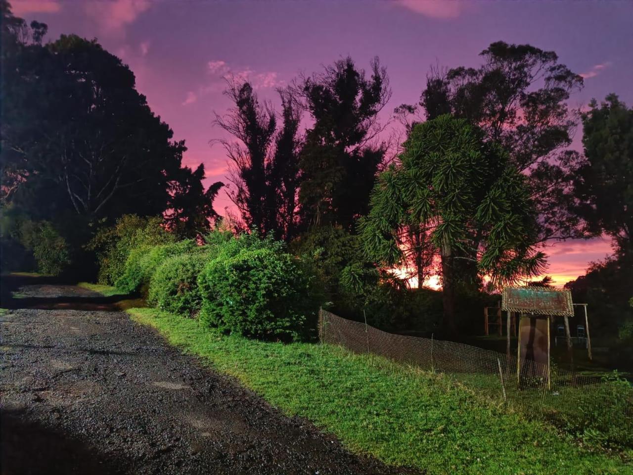 Natures Retreat Hotels And Resorts ウーティ エクステリア 写真